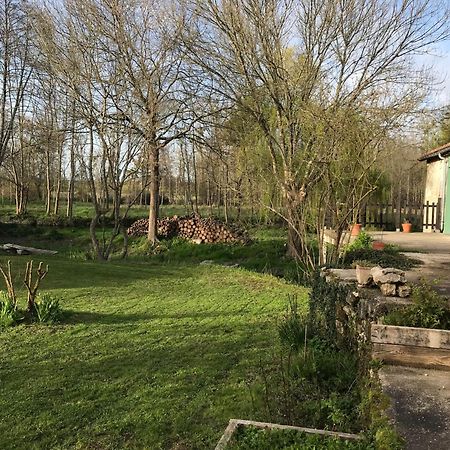 Appartamento Ancien Moulin A Eau Sur La Seugne Mosnac  Esterno foto