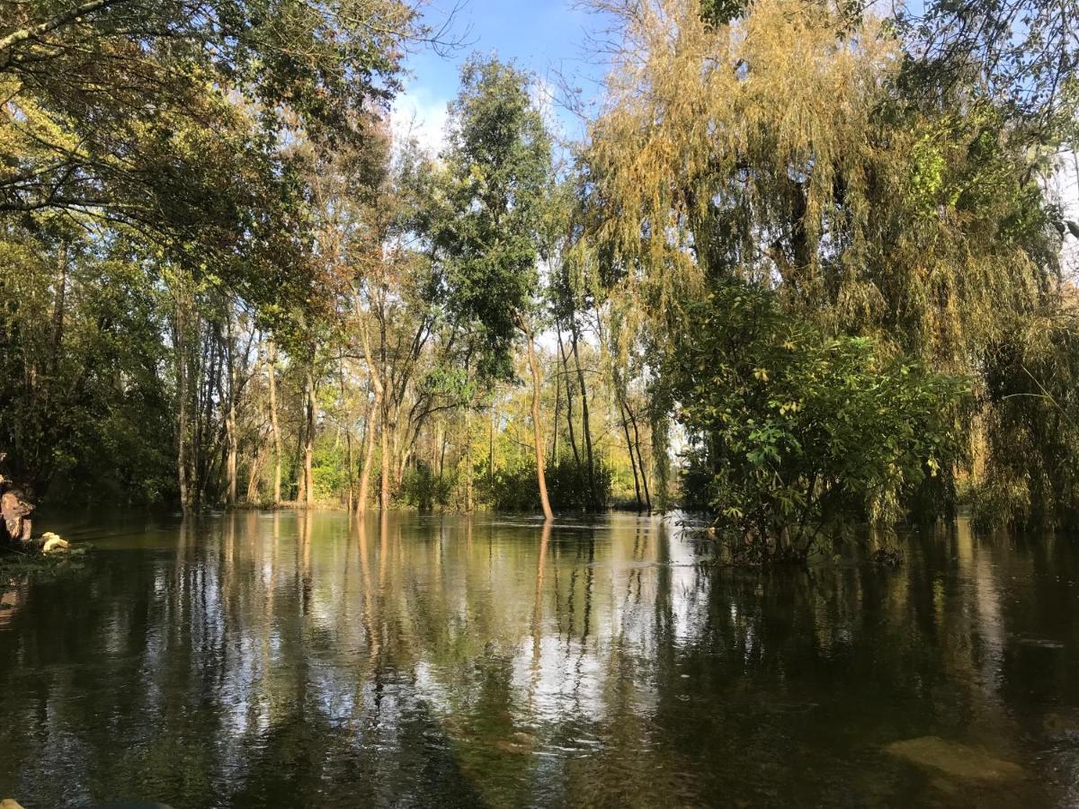 Appartamento Ancien Moulin A Eau Sur La Seugne Mosnac  Esterno foto